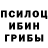Псилоцибиновые грибы мухоморы Charley wilkinson
