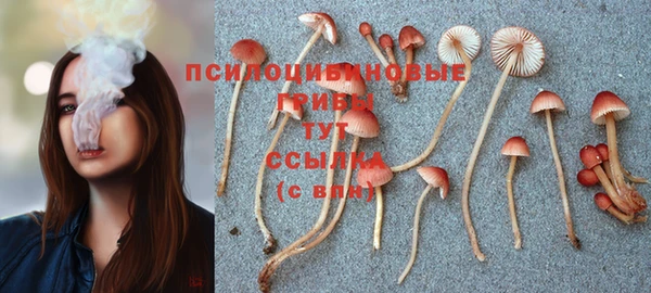 твердый Алексеевка