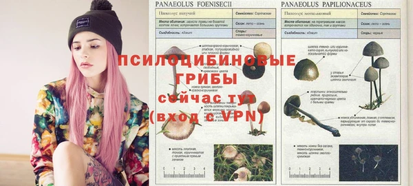 твердый Алексеевка