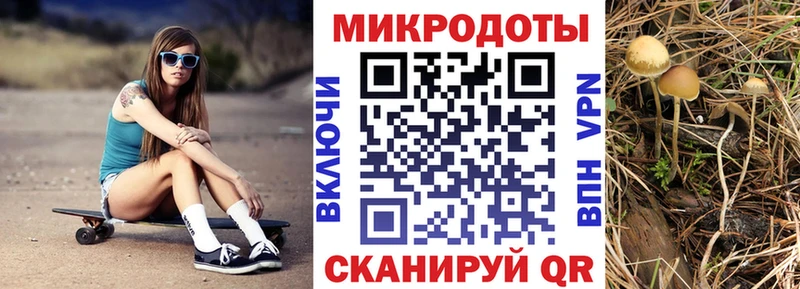 Псилоцибиновые грибы Magic Shrooms  купить наркотик  это наркотические препараты  Туймазы 